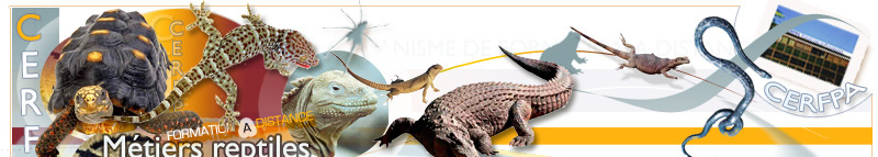 reptiles, formation au Cerfpa - Centre de formation aux reptiles - Formations e-learning - certificat de capacité pour l'entretien des animaux d'espèces non domestiques